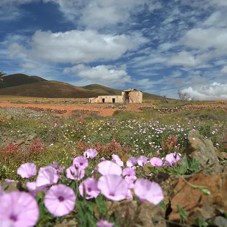 Casa Barreto Σπίτι διακοπών Tiscamanita